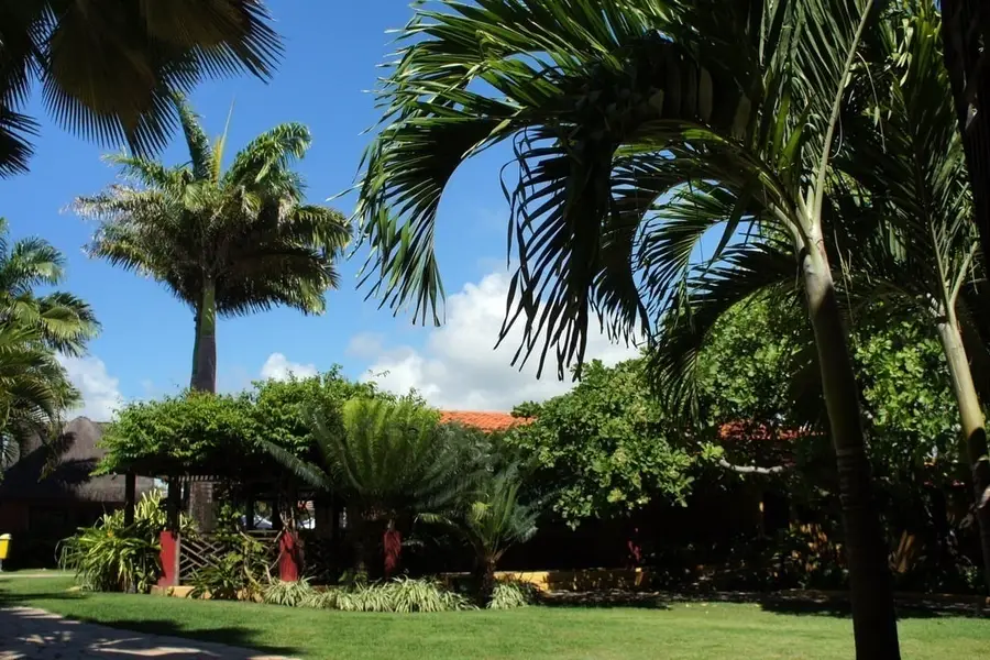 photo-2