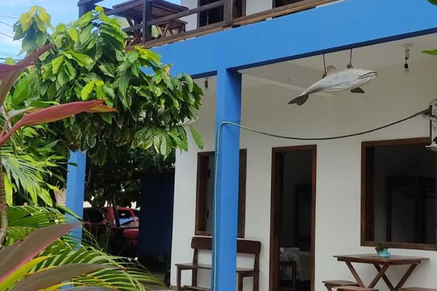 foto-2