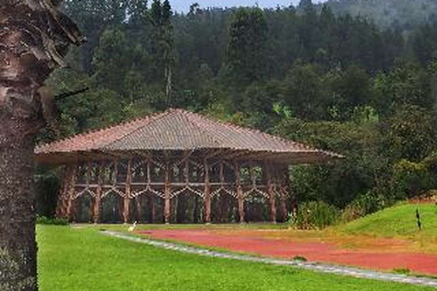 photo-1